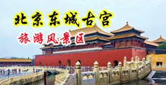 草逼视频免费性片中国北京-东城古宫旅游风景区